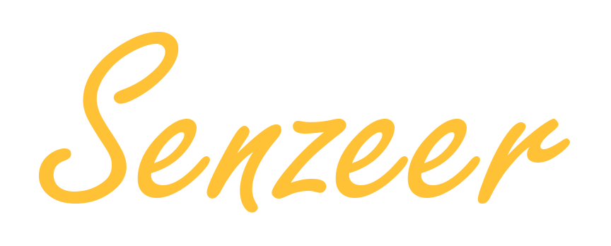 senzeer name logo